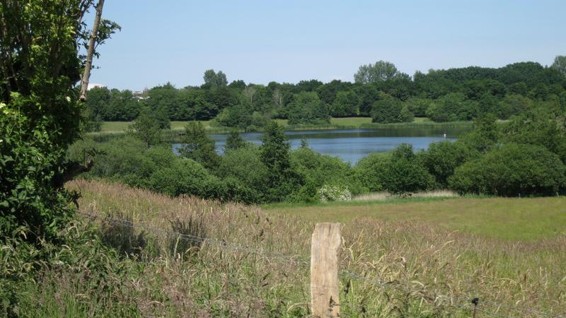 St. Jürgen Quartierspaziergang Grün um Brautsee